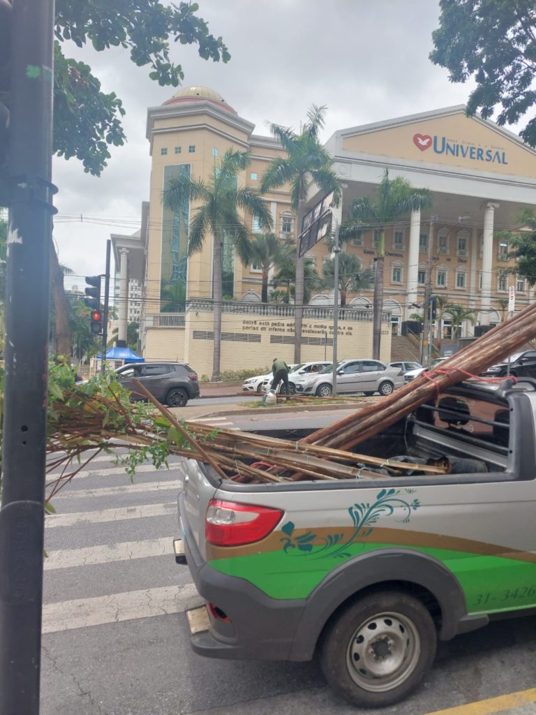 Arboriza O Associa O Dos Moradores E Amigos Do Bairro Santo Agostinho